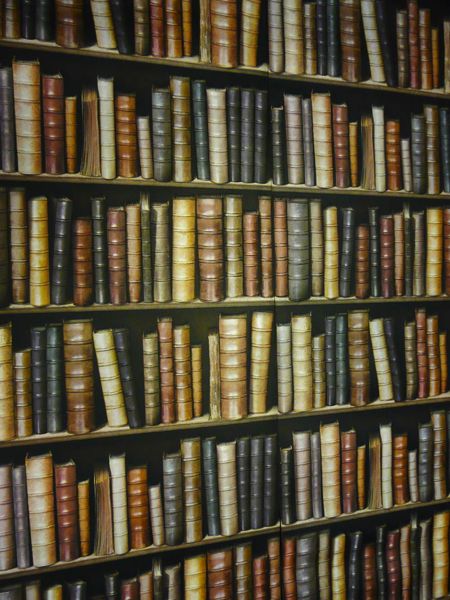 Free Download Hotel Chic Library Wallpaper At The Pig Hotel In