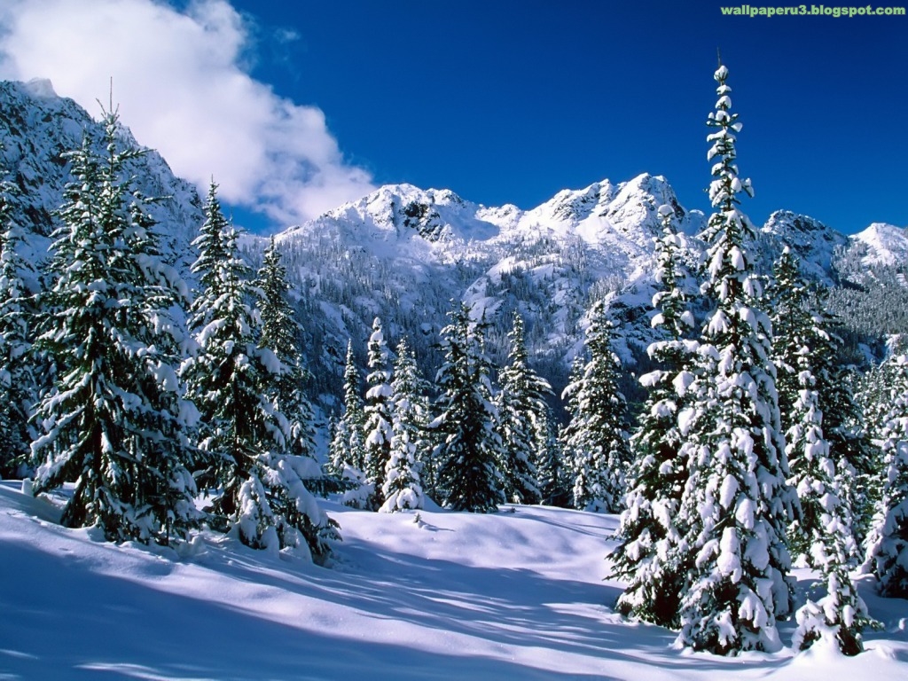 Winter Season Wallpaper