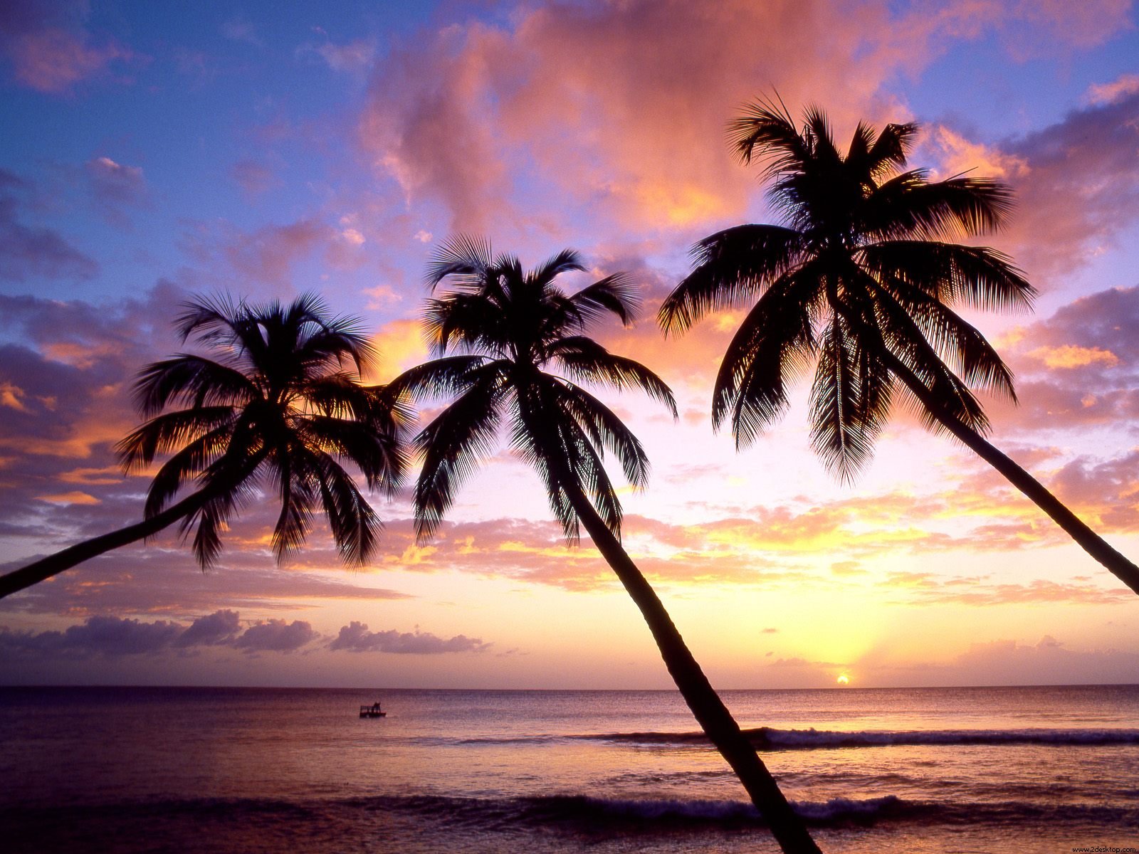 De Pap Is Parede Kings Beach West Coast Barbados Indies