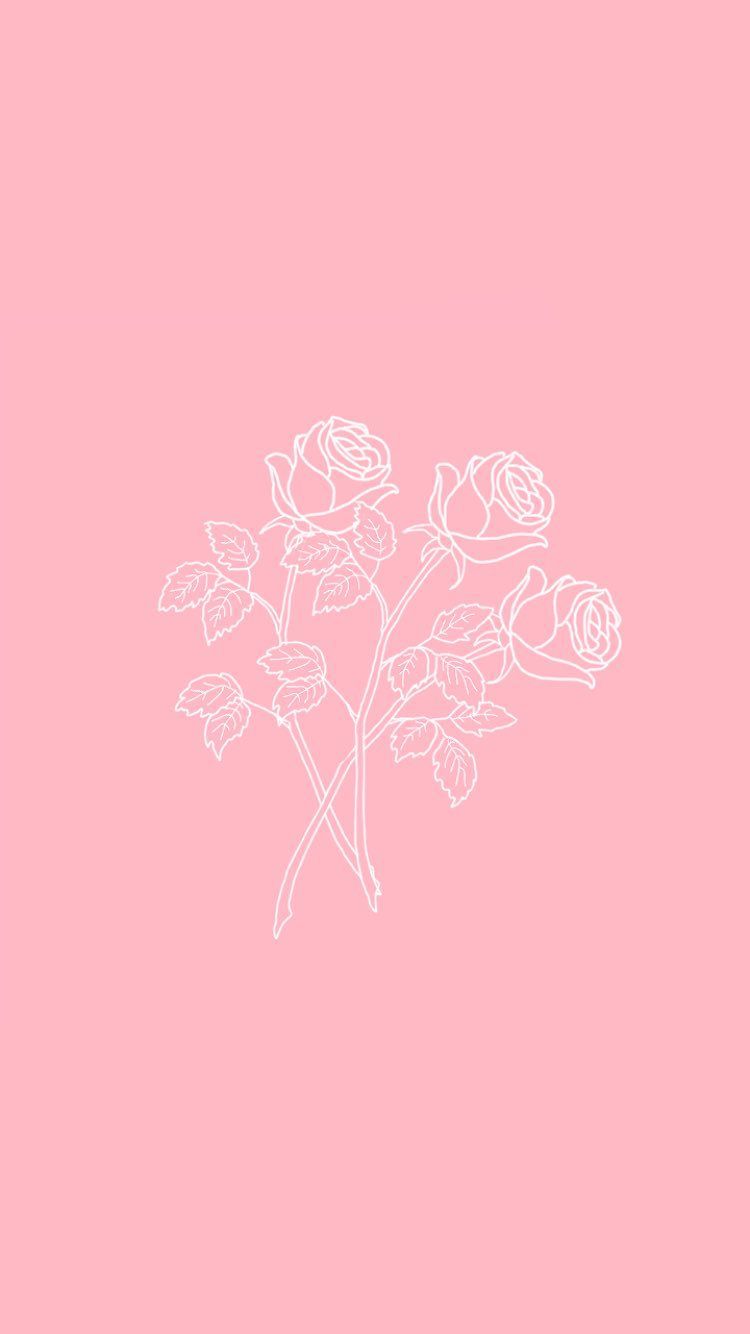 Aesthetic Baby Pink Wallpaper On