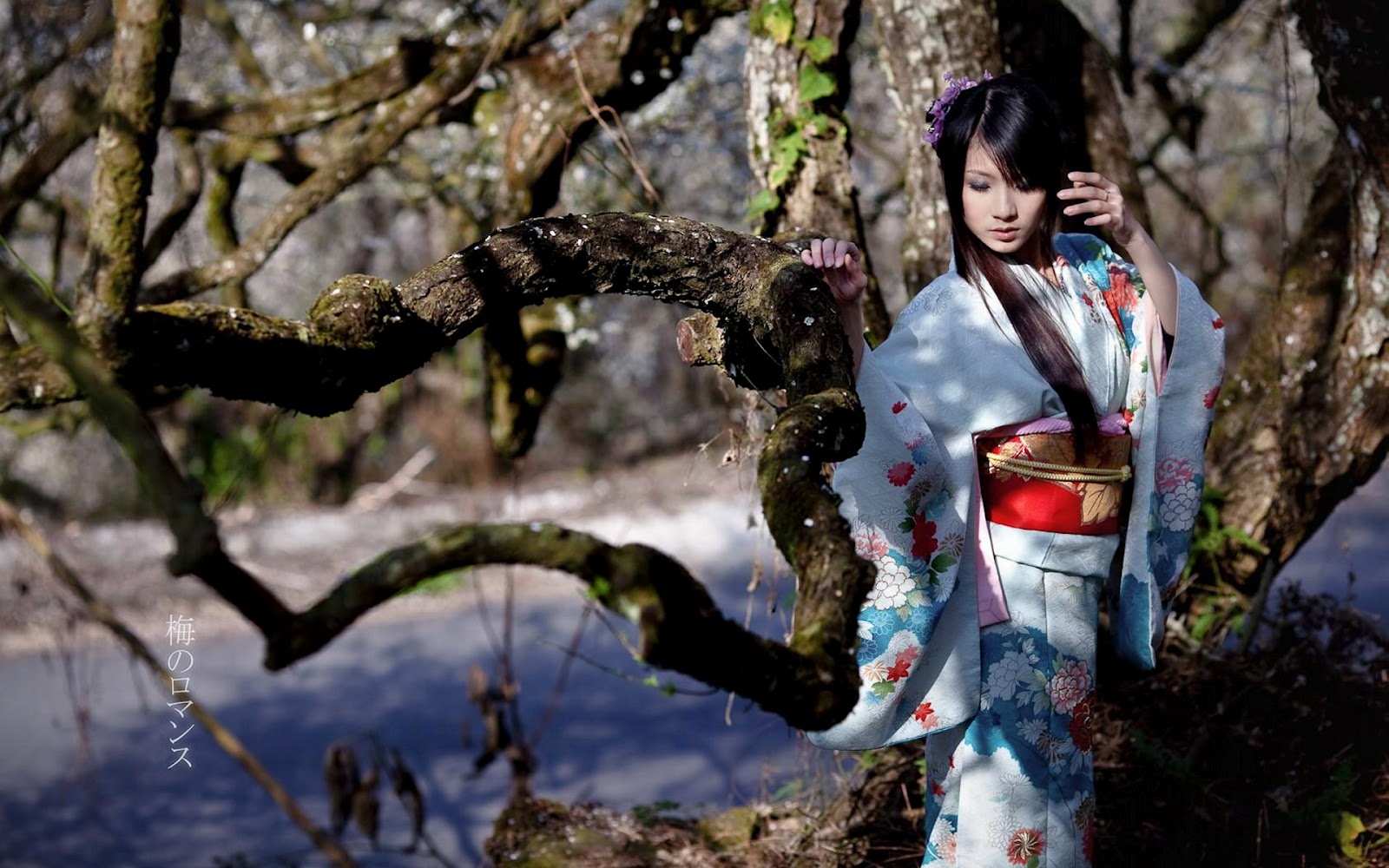 Girl Wearing Furisode Long Sleeved Kimono Wallpaper