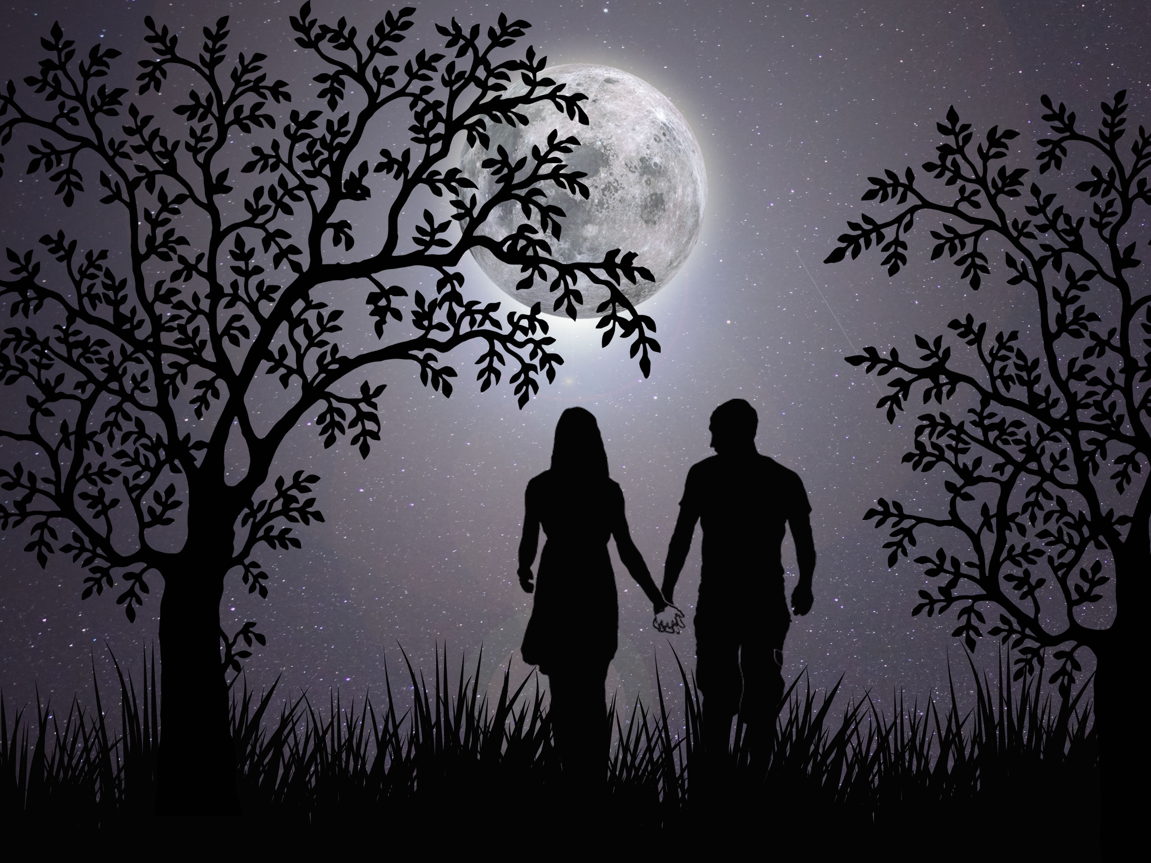 Free Images love romantic night together feelings couple