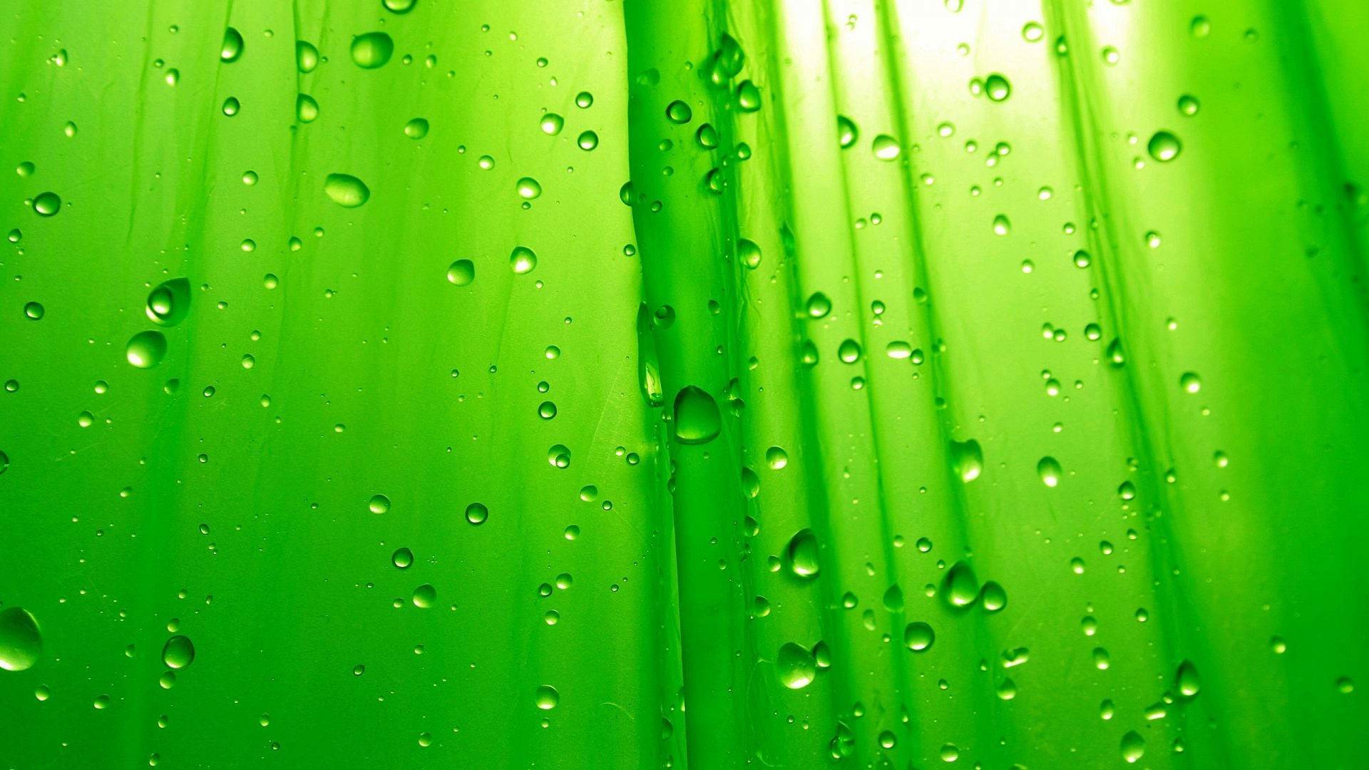 Vibrant Green Background with Water Droplets
