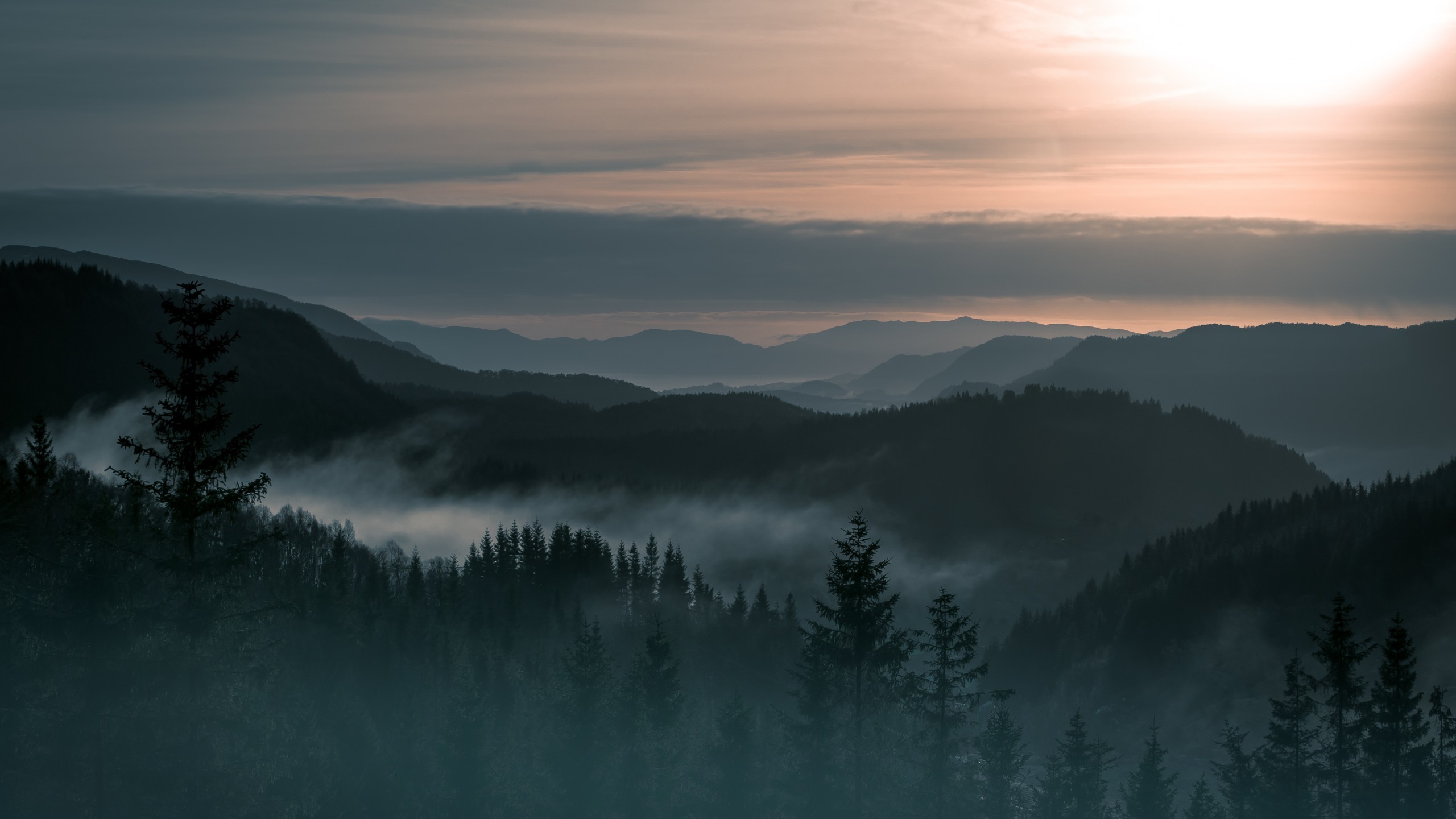 Landscape Norway Forest Trees Mountains Mist Wallpaper
