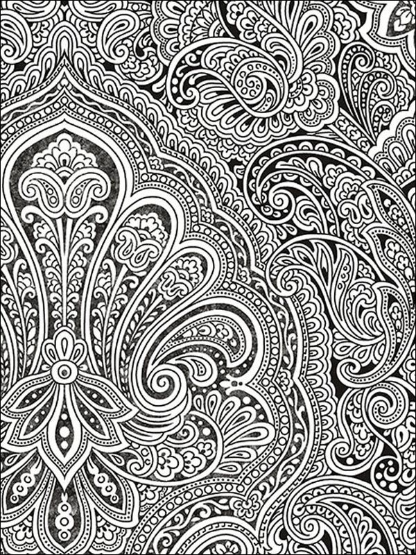  41 Black  and White  Paisley Wallpaper  on WallpaperSafari