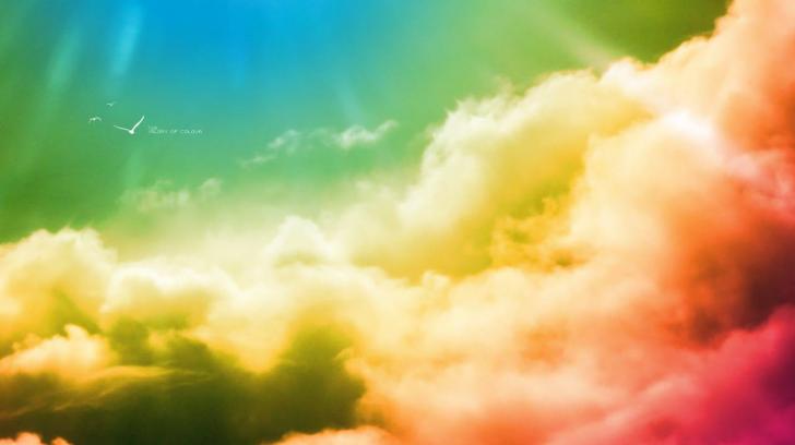 Clouds sky rainbow birds colors wallpaper   5224   High Quality and