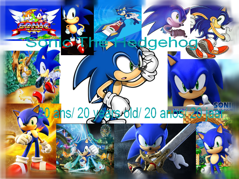 Sonic The Hedgehog Mon univers Mes crations