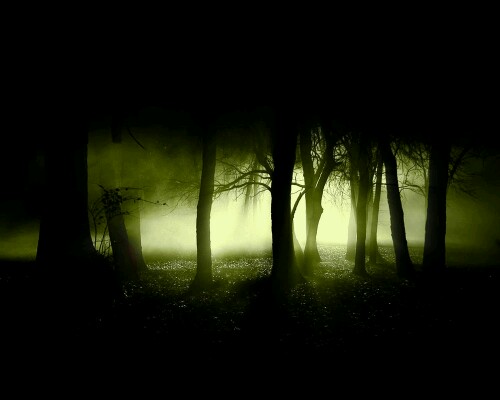 Haunted Forest Wallpaper By Sandfan0