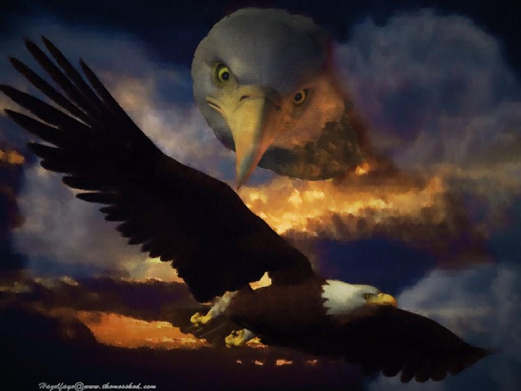 Eagle Painting High Quality And Resolution Wallpaper On