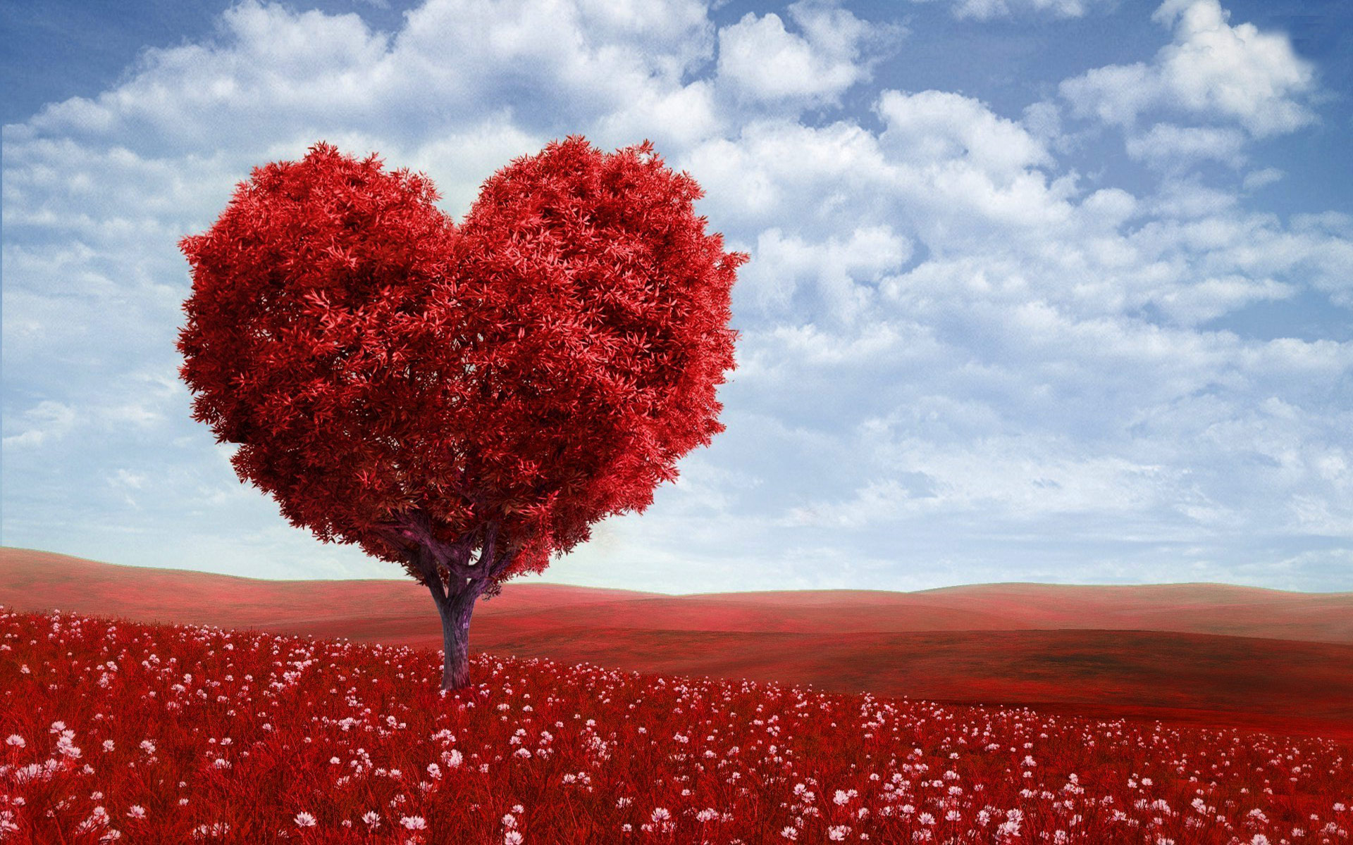 Desktop Wallpaper Of Valentine Love Tree Puter