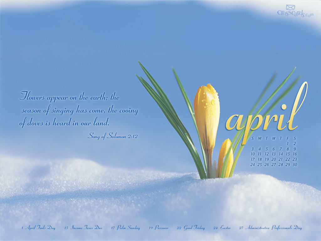 April 2011   Flowers Desktop Calendar  Free Monthly Calendars