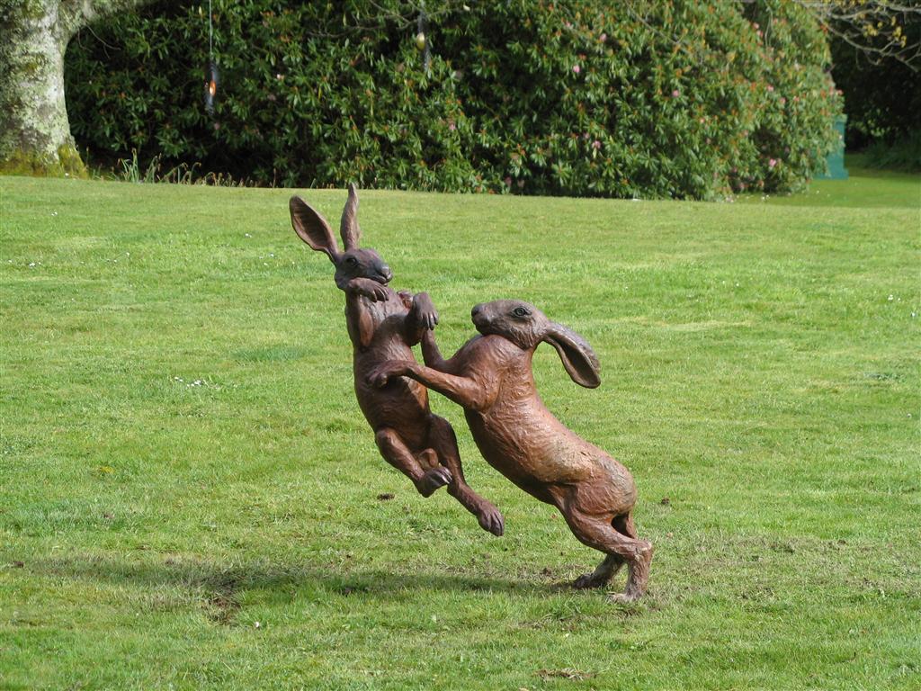 Boxing Hares Pictures