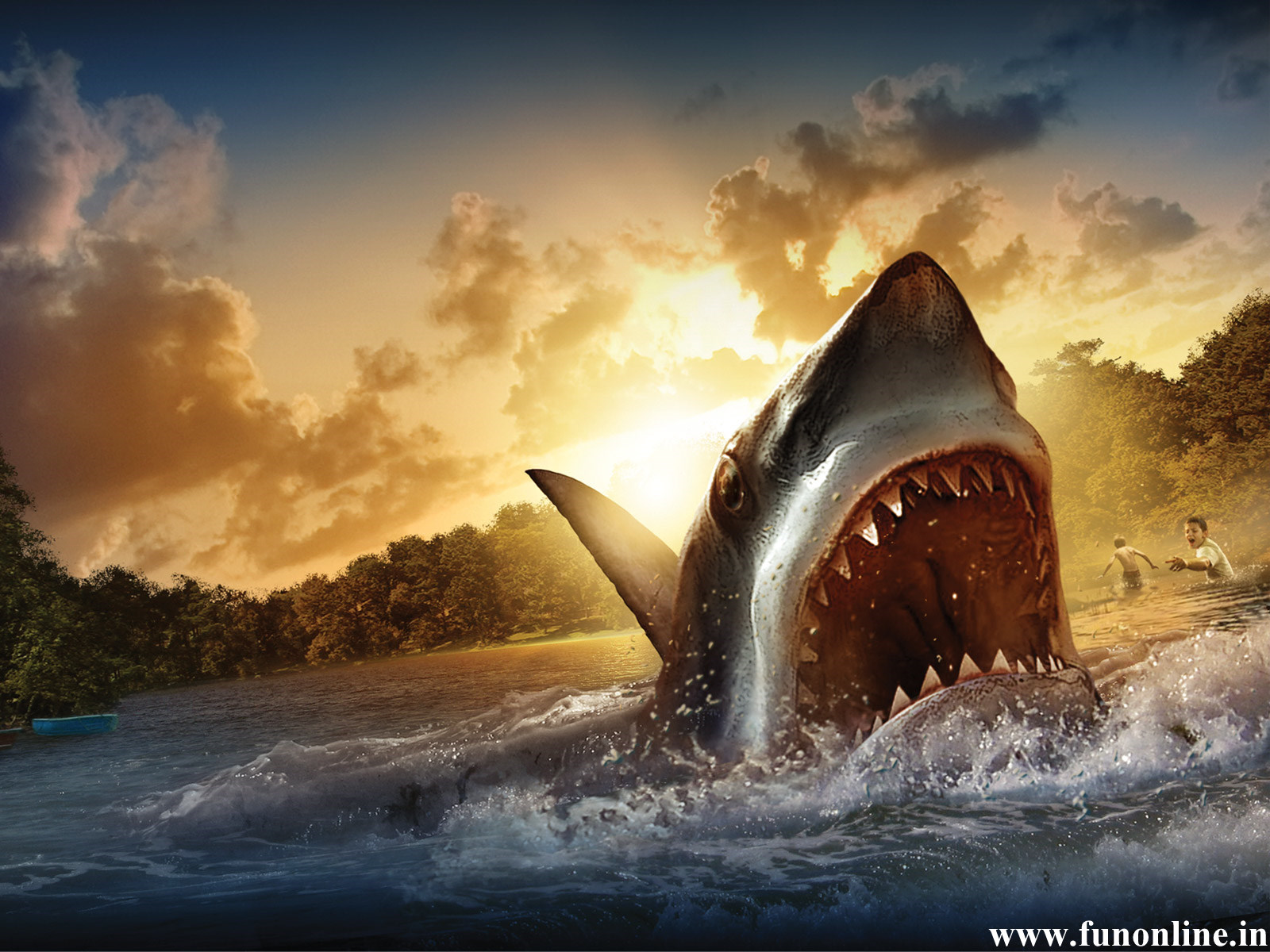 Shark Wallpapers Download Deadly White Sharks HD Wallpaper 1600x1200