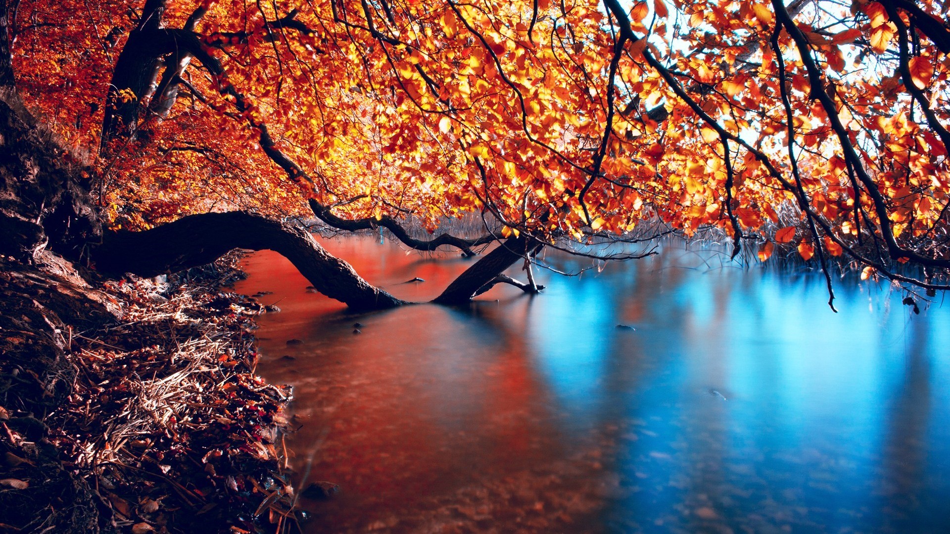 Autumn Lake Full HD Desktop Wallpaper 1080p