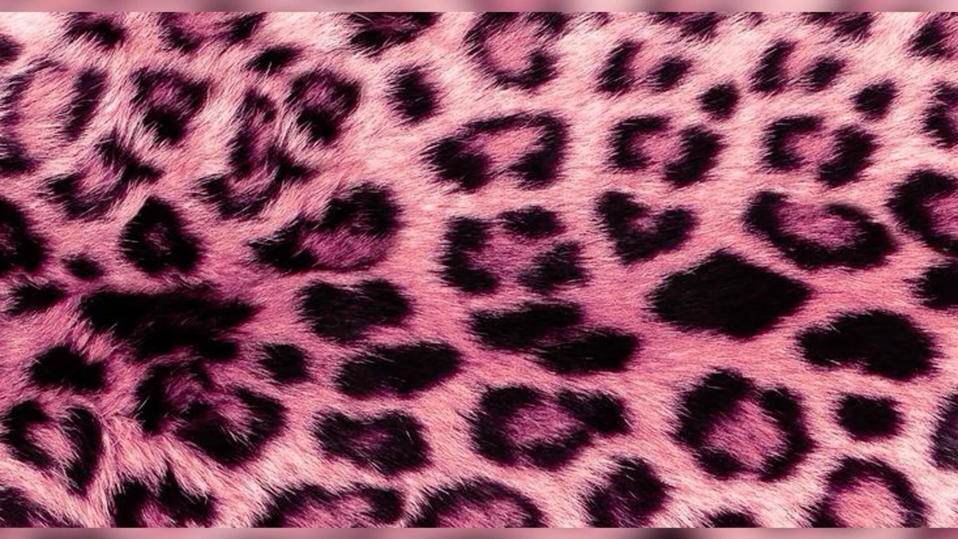 Pink Cheetah Print Dress Wallpaper