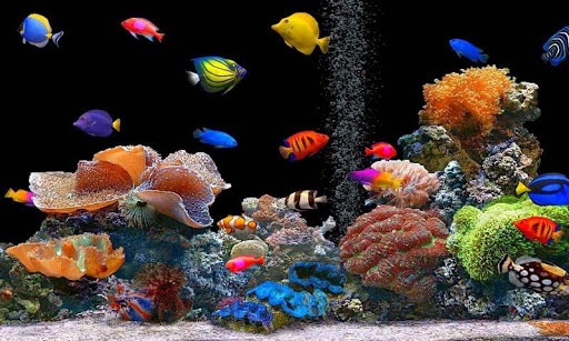 Bigger Aquarium HD Live Wallpaper For Android Screenshot