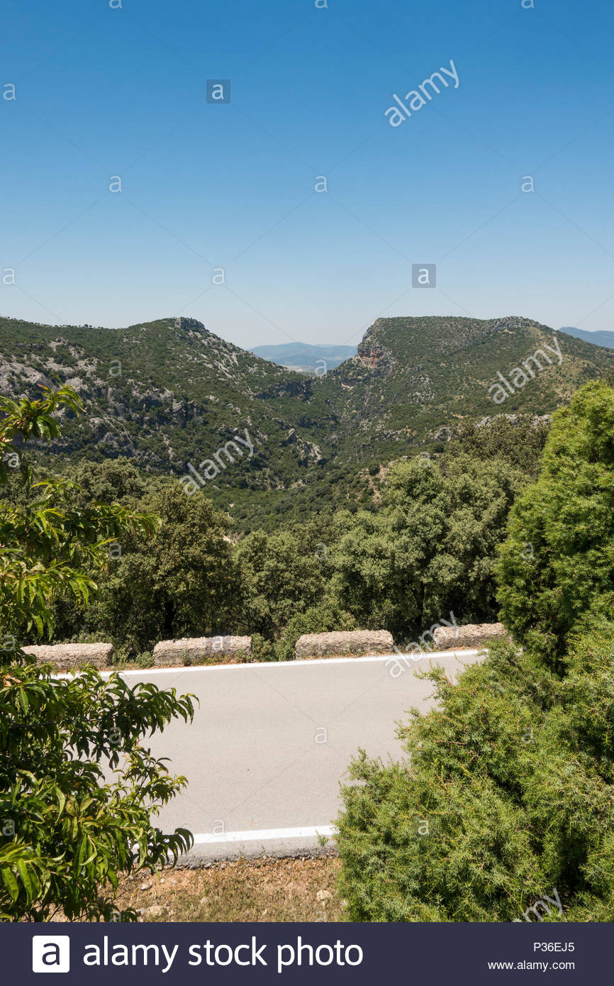 Free download El Pinsapar Biosphere Reserve Sierra de Grazalema with ...