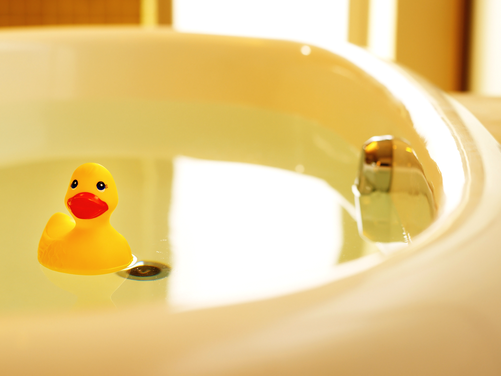 🔥 [49+] Rubber Duck Wallpaper Border WallpaperSafari