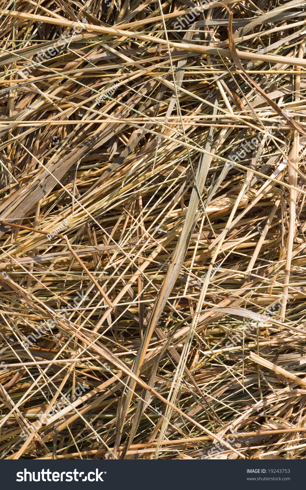 🔥 Free download Dry Grass Haystack Background Stock Photo Edit Now
