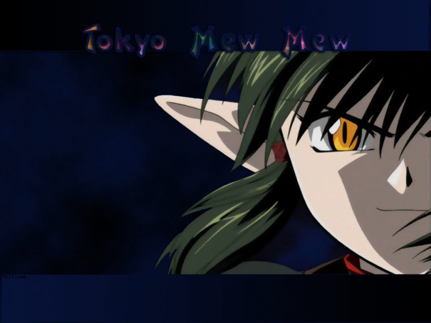 Tokyo Mew Wallpaper X111