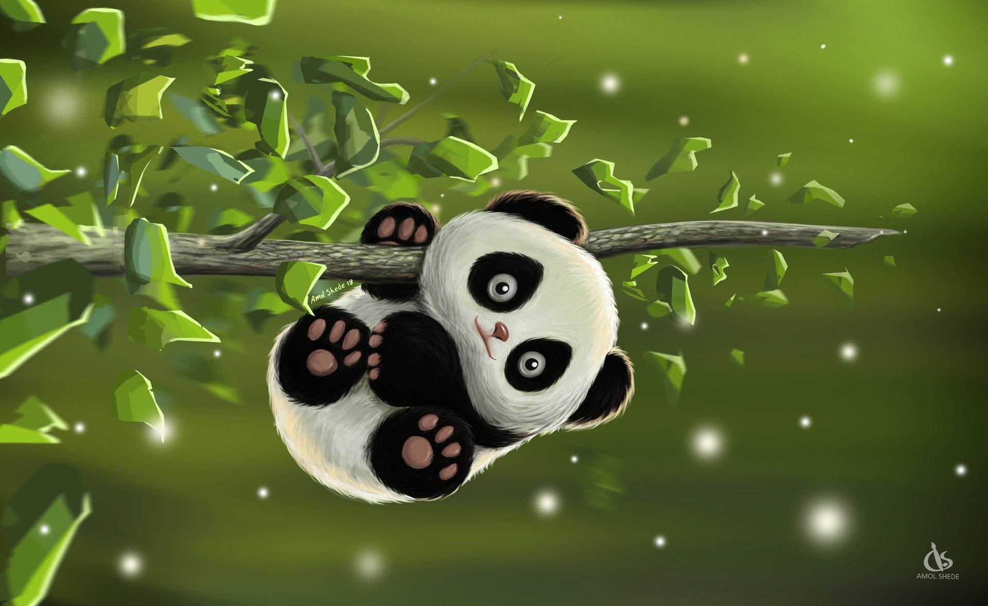 Cute Animal Panda HD Wallpaper By Amol Shede