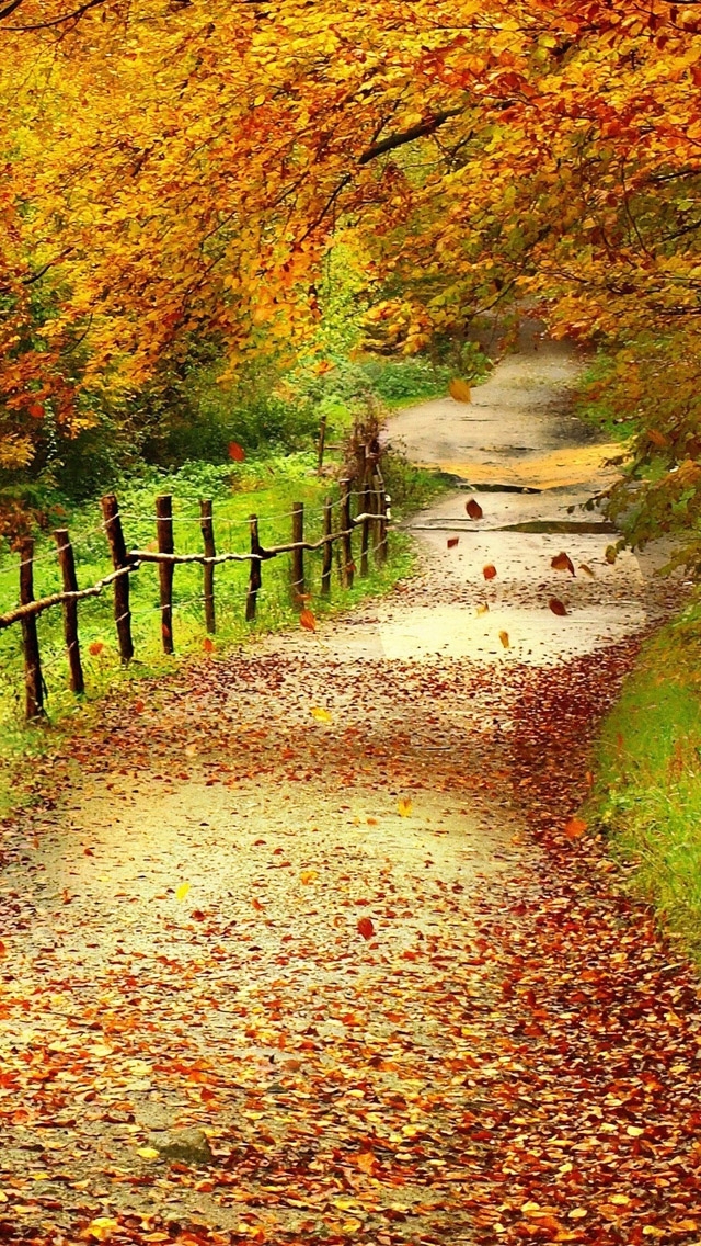 Beautiful Path Nature iPhone Wallpaper