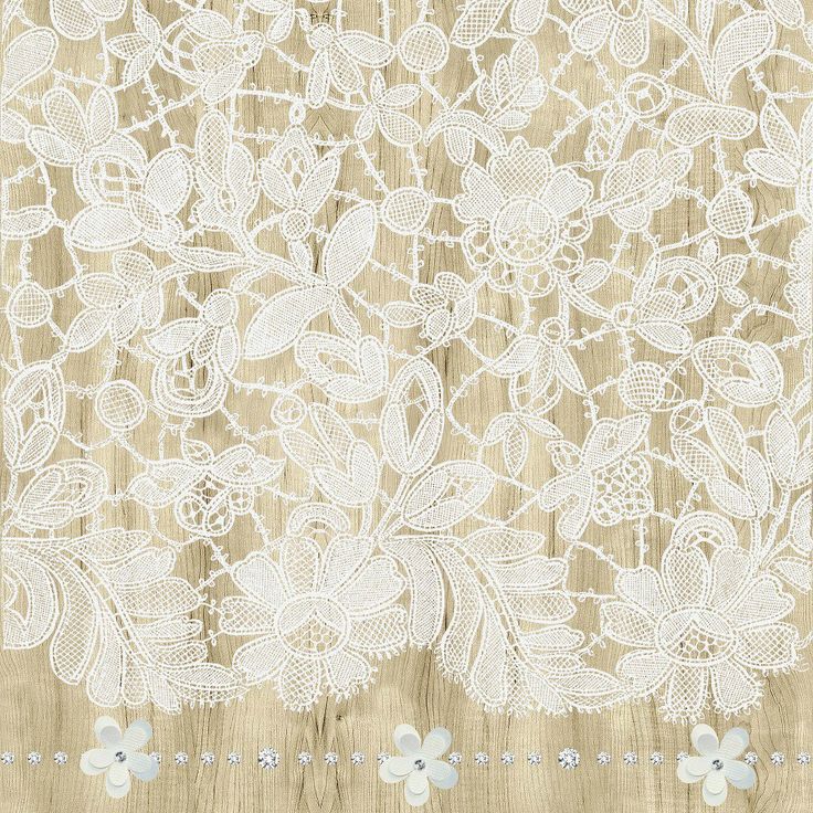Off White Lace On Ecru Background Image To Inspire
