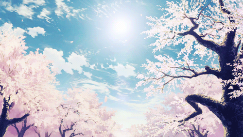Sofie  Anime background Anime cherry blossom Anime scenery