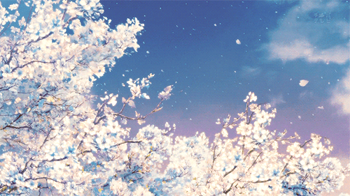 Anime Winter Gif Spring Blossoms Sceneries