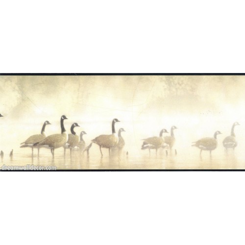 Free download Birds Wallpaper Border LD3311 [500x500] for your Desktop