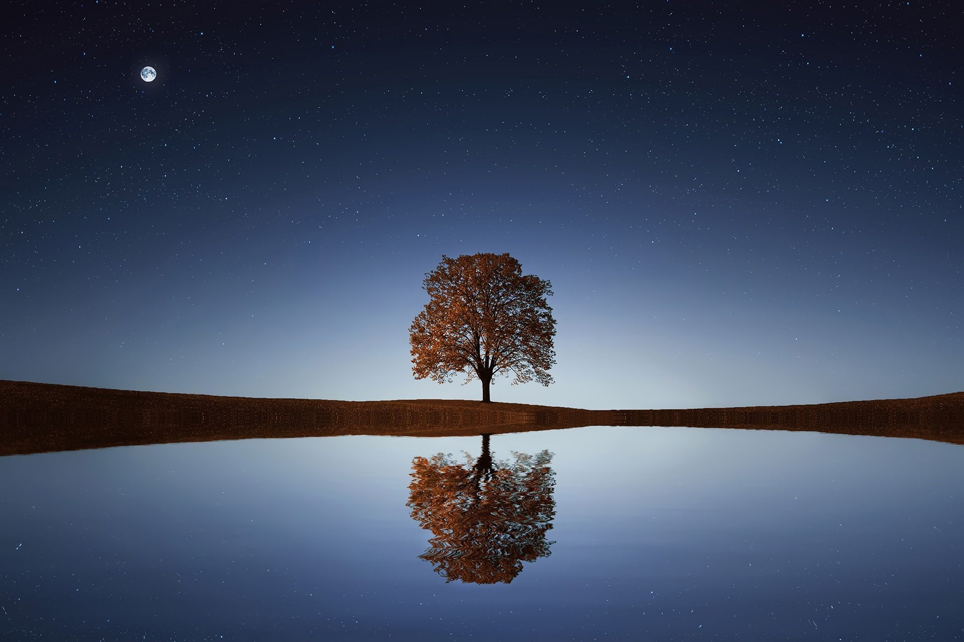 The Lonely Tree Wallpaper Posted By Ryan Simpson