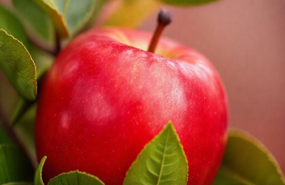 Apple White Wallpaper
