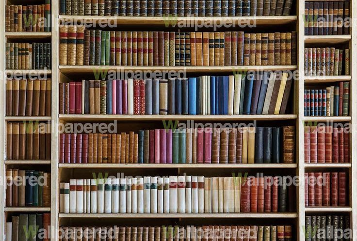 Bookcase Mural Bookshelf Wallpaper Vintage Book More