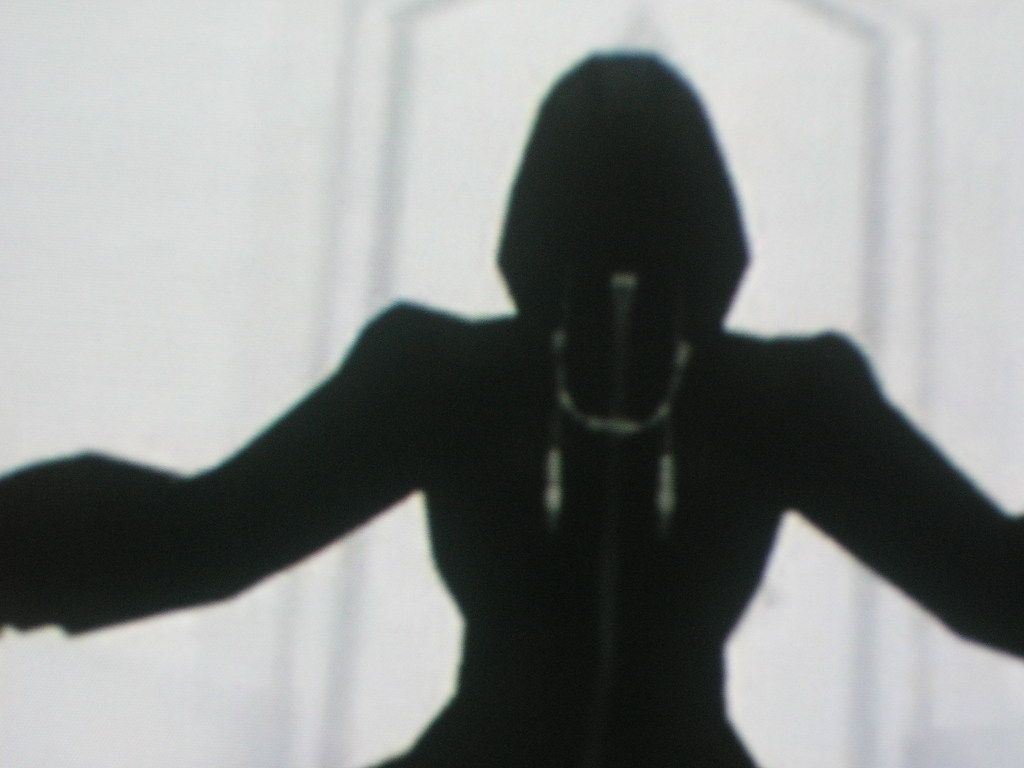Organization Xiii Nobodies Wallpaper