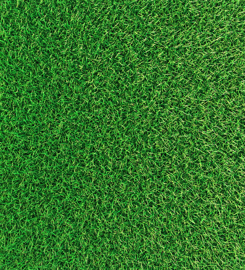Grass Texture Wallpaper Uew3dg Jpg