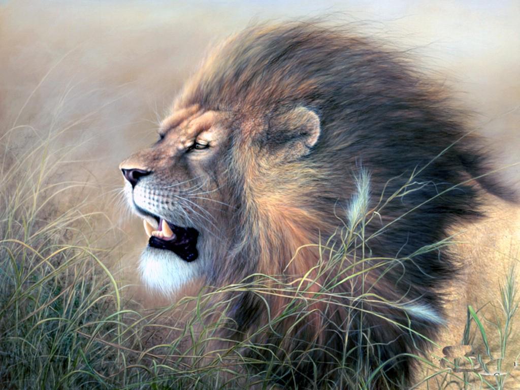 Big Cat Lion Art High Quality And Resolution Wallpaper
