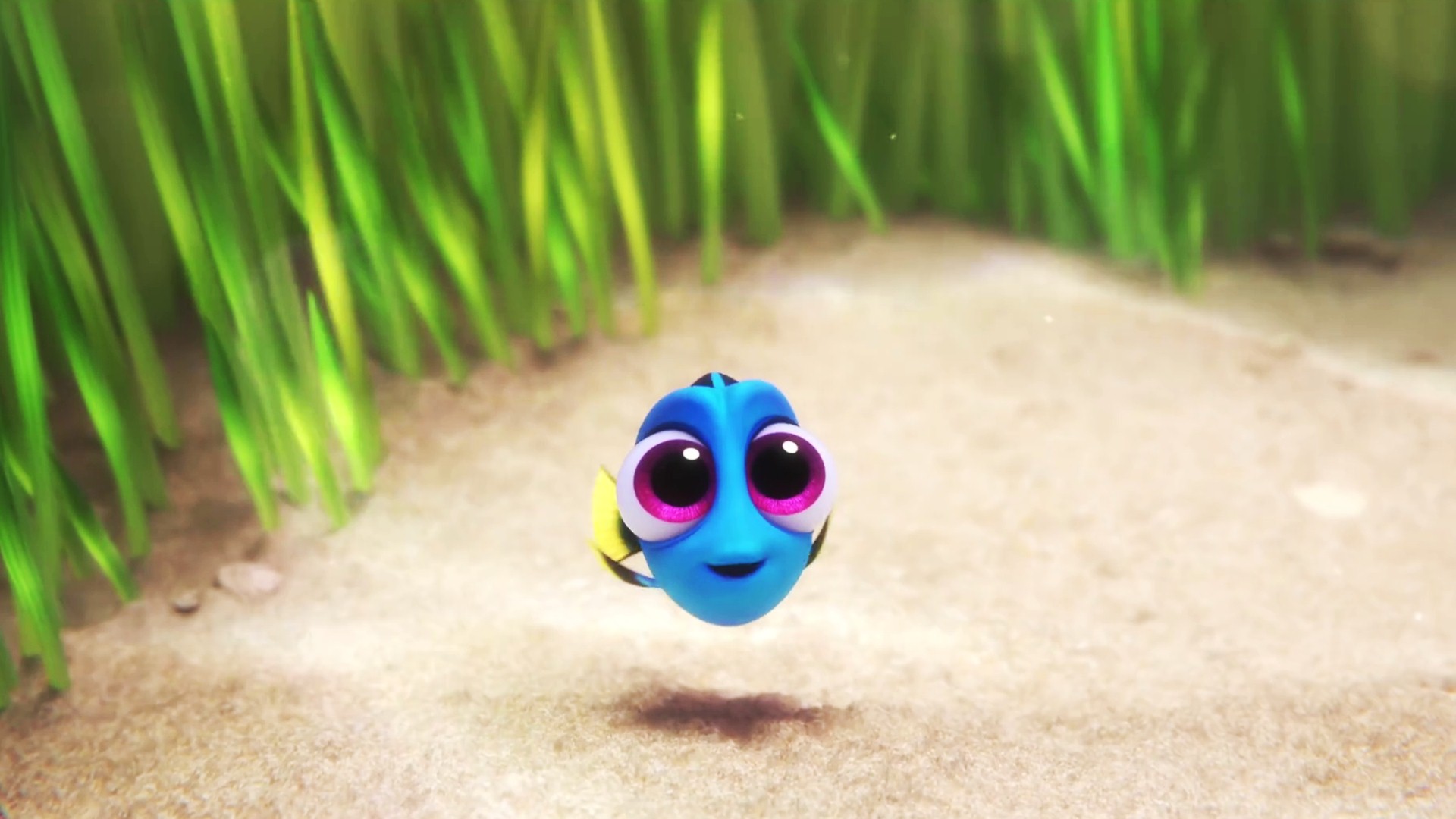 Free download Cute Baby Dory In Finding Dory Wallpaper 02609 Baltana