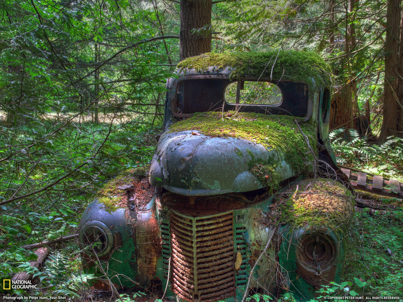 Old Truck Photo Forest Wallpaper National Geographic Of The