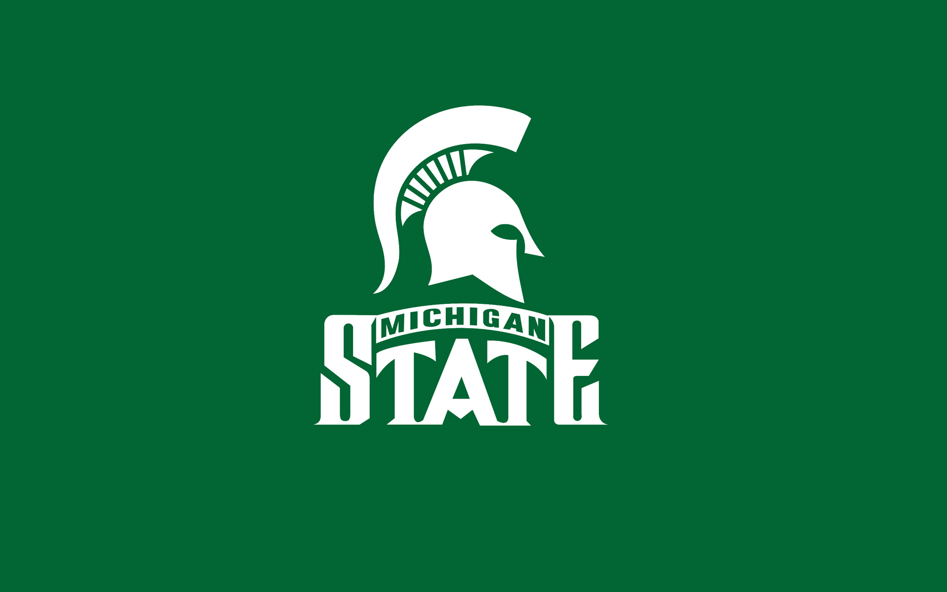 Michigan State Spartans Flag Set - 3x5 Foot Block S Flag With 6-Foot Pole And Adjustable Bracket