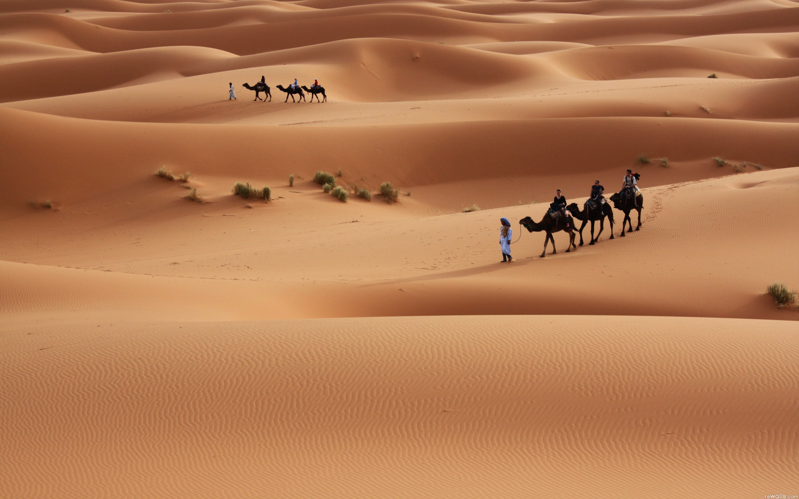 Sahara Desert Wallpaper HD