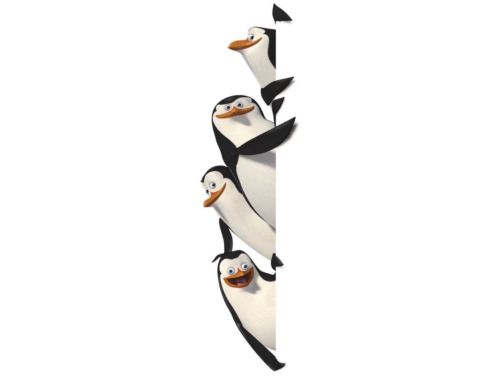 Madagascar Animation Edy Adventure Family Penguin Cartoon Wallpaper