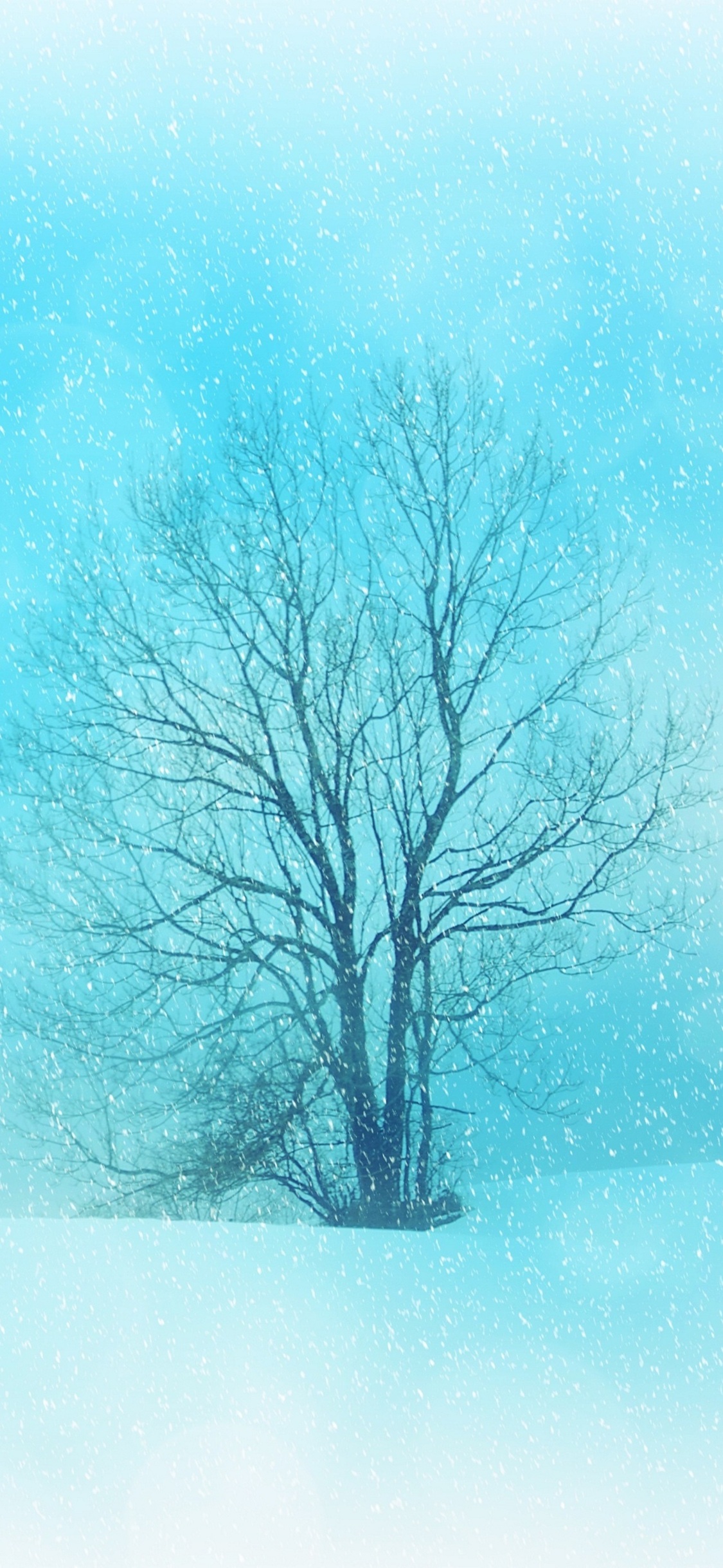 A serene winter scene with a bare tree against a snowy, light-blue backdrop, captured in a minimalist and aesthetic style, ideal for an iPhone 14 Pro Max wallpaper