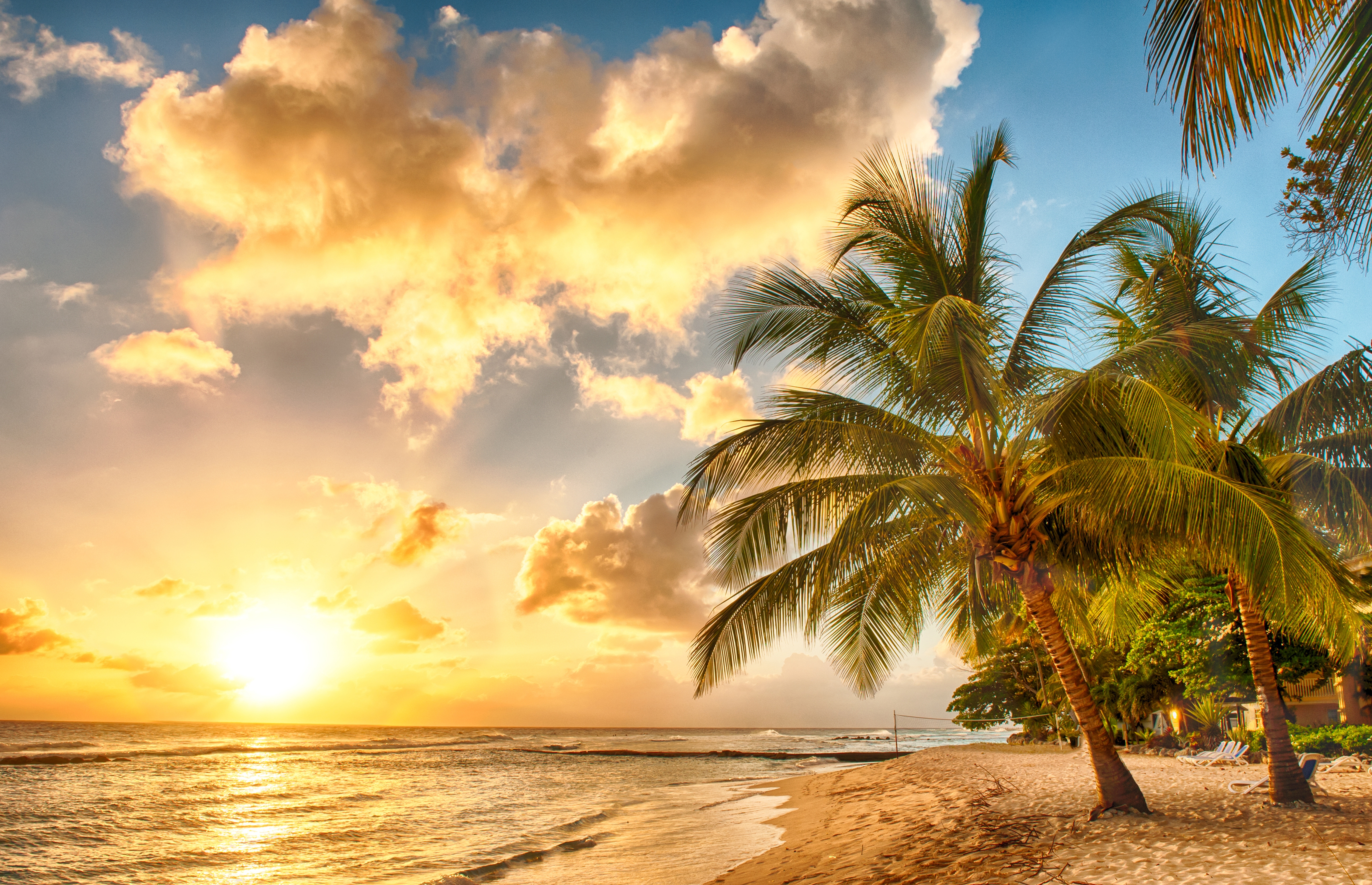 Wallpaper tropical paradise beach palms sea ocean sunset beach