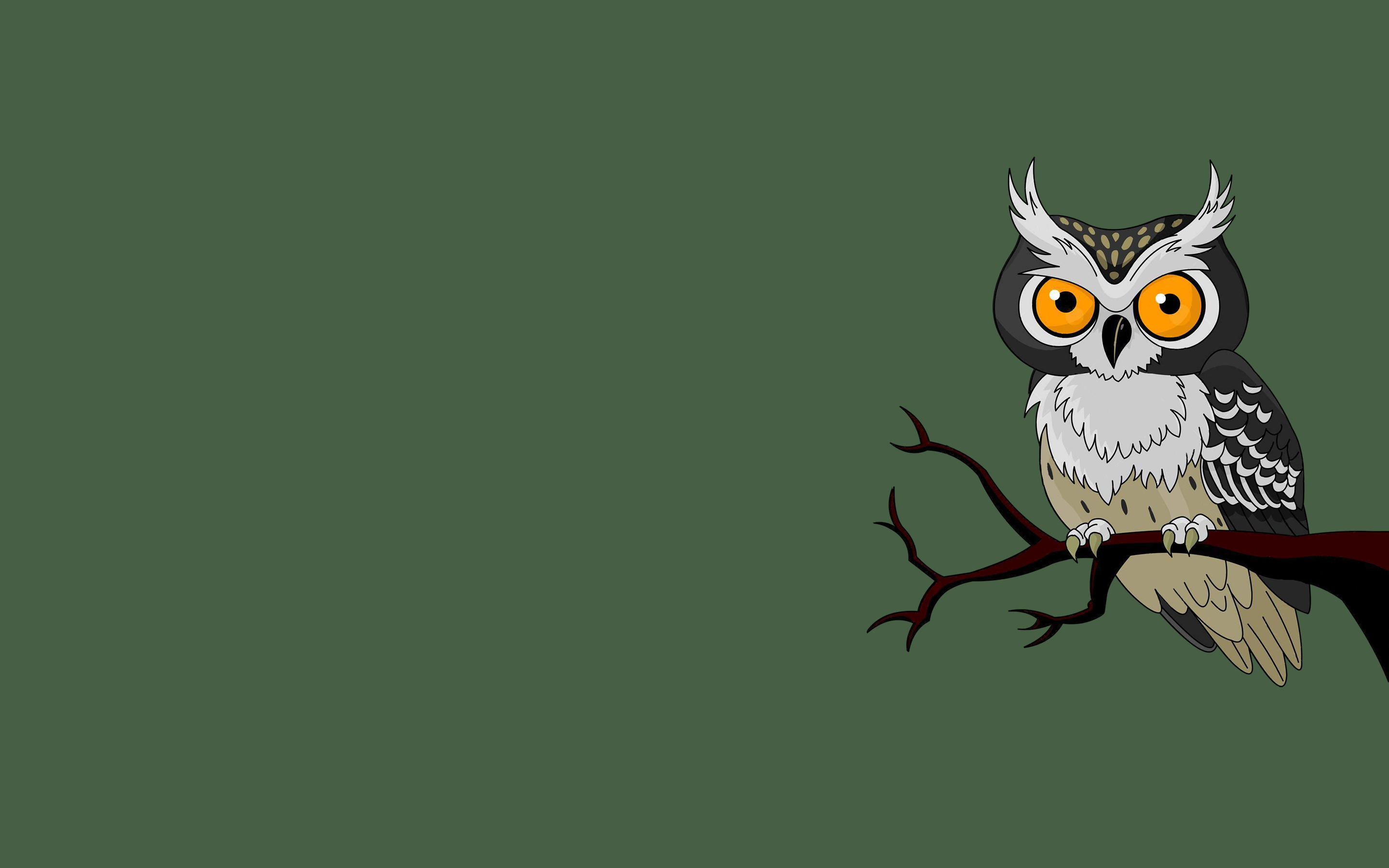 Owl Branch Bird Green Background Minimalism Wallpaper