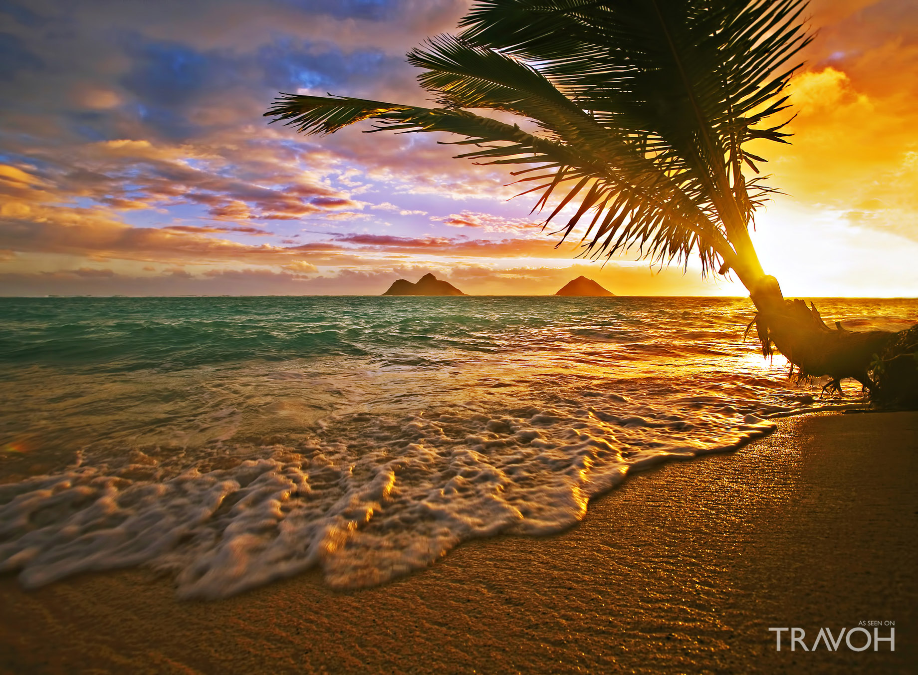 Sunrise over Lanikai Beach, Oahu, Hawaii, with a palm tree in the foreground