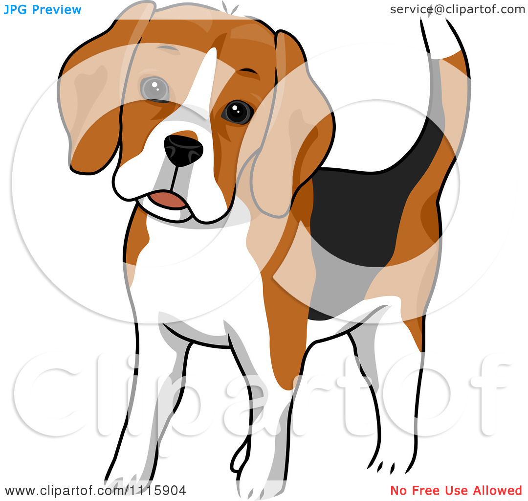 Pin Illustrationcute Beagle Puppy Wearing A Red Tag 215239html On