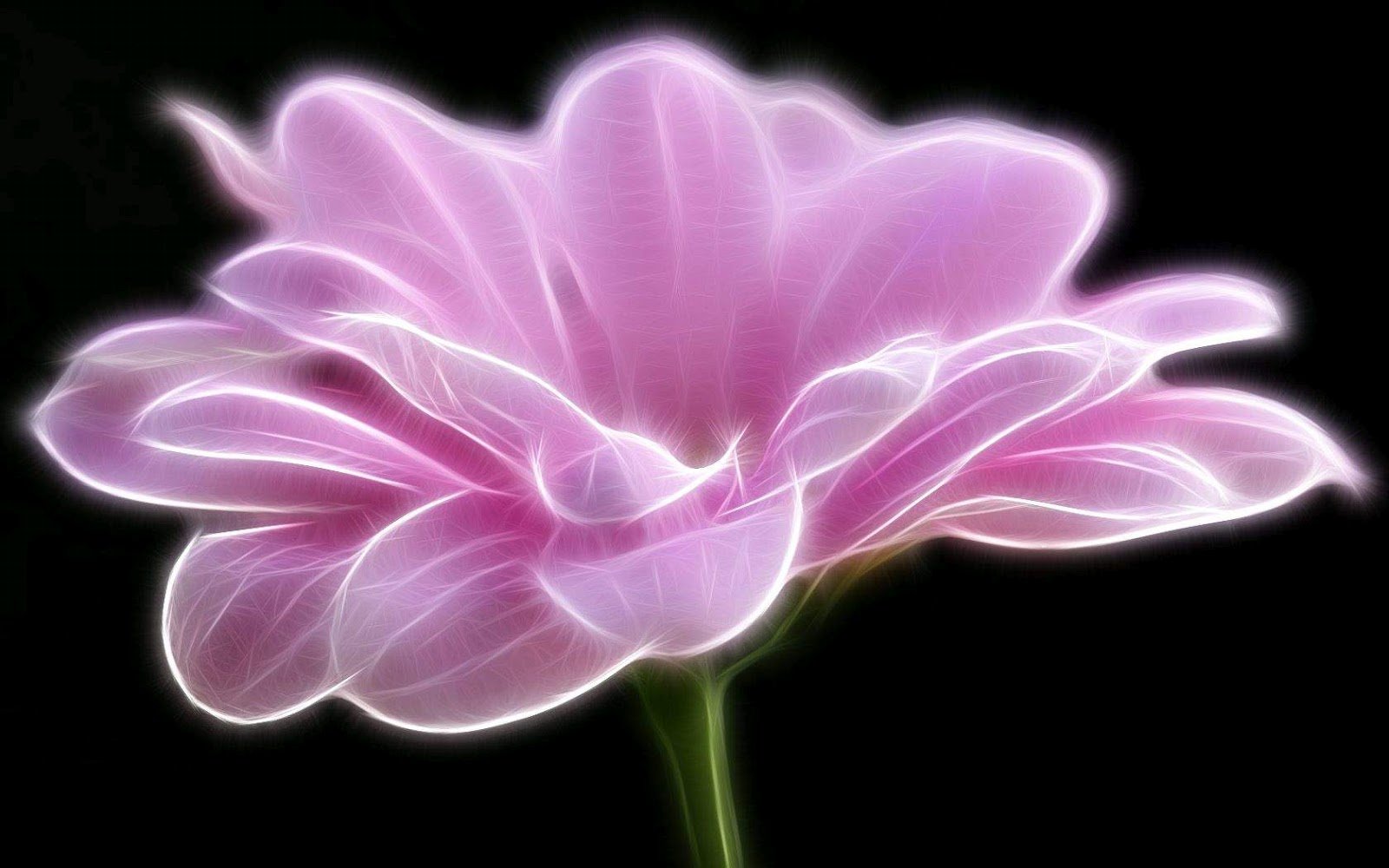 Black and White Wallpapers Artistic Pink Flower Wallpaper