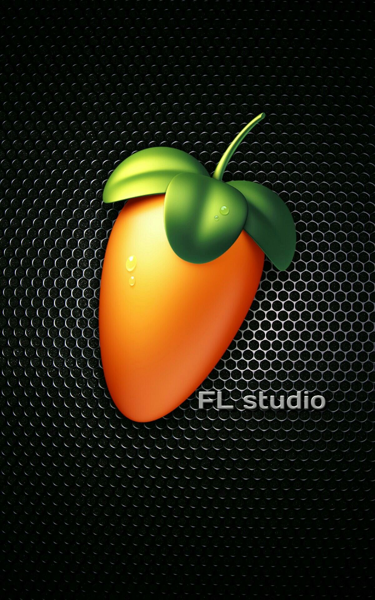 fl studio logo carror