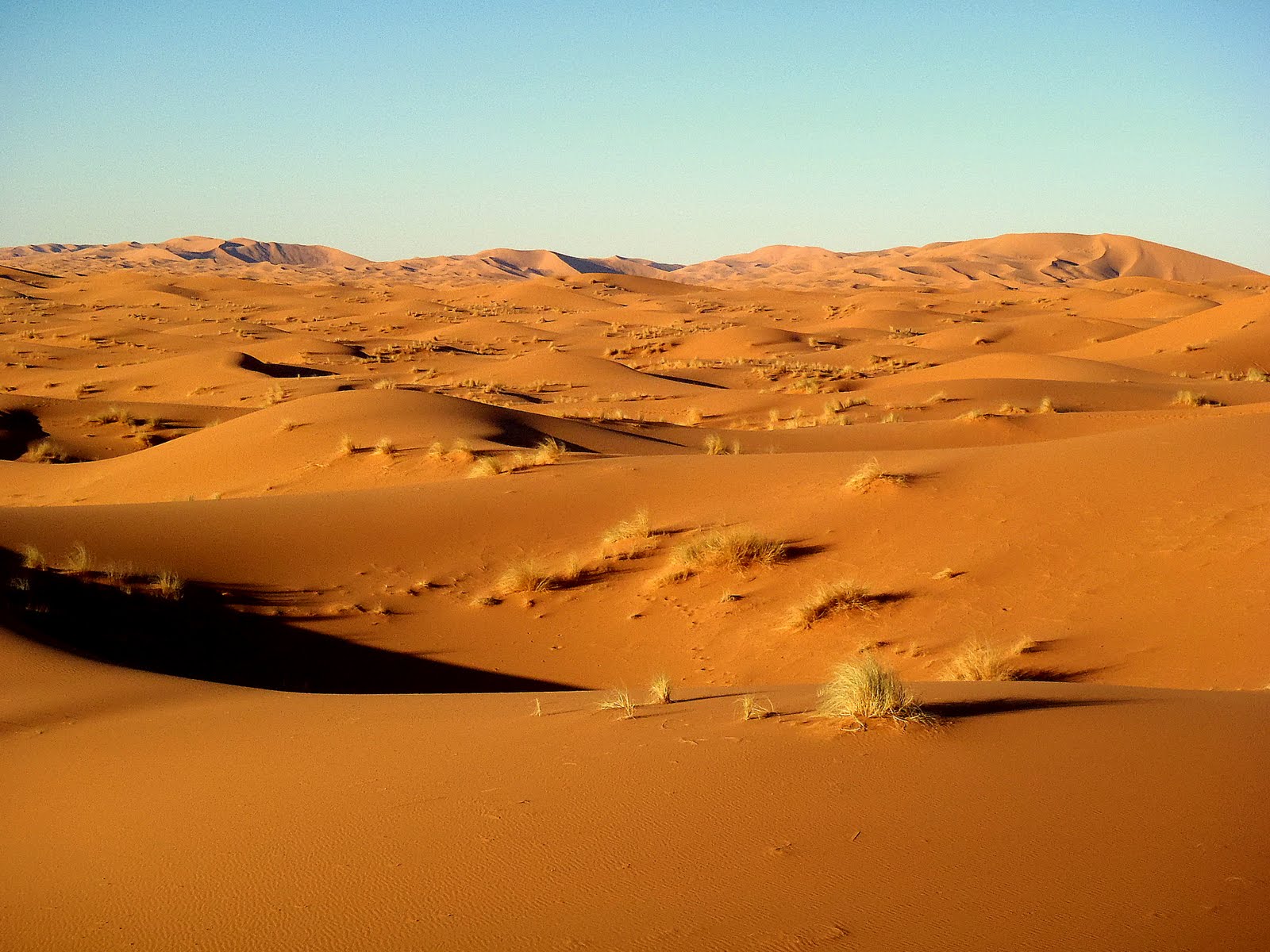 HD Wallpaper Sahara Desert X Kb Jpeg