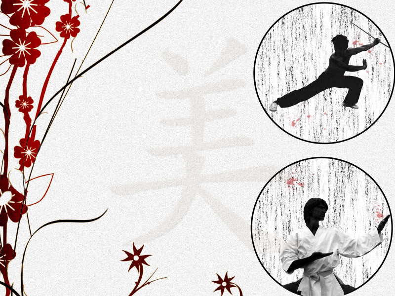 Kung Fu Wallpaper Desktop Background